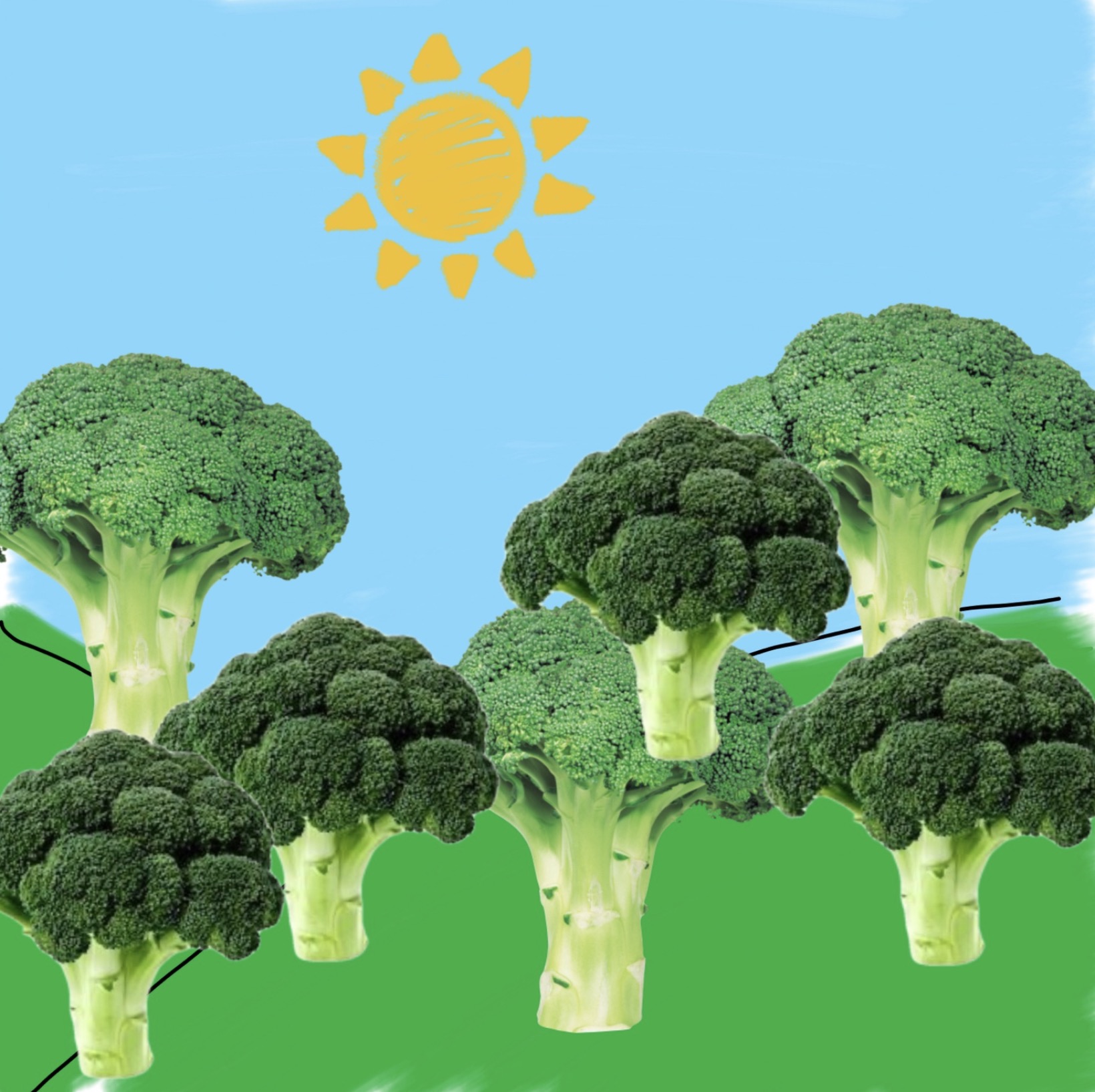 La leggendaria opera dei broccoli dell'edizione 001